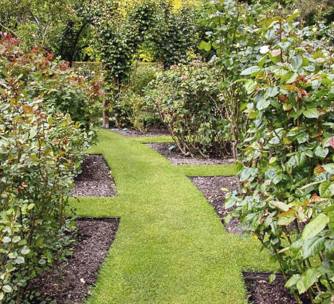 Christchurch Botanic Rose Gardens.