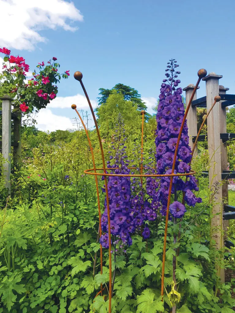 Large trumpet with Delphinium