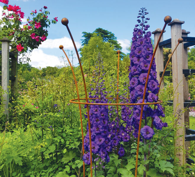 Large trumpet with Delphinium