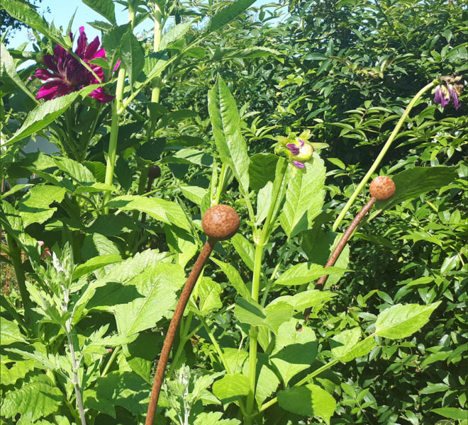 Large Peony support with dahlia